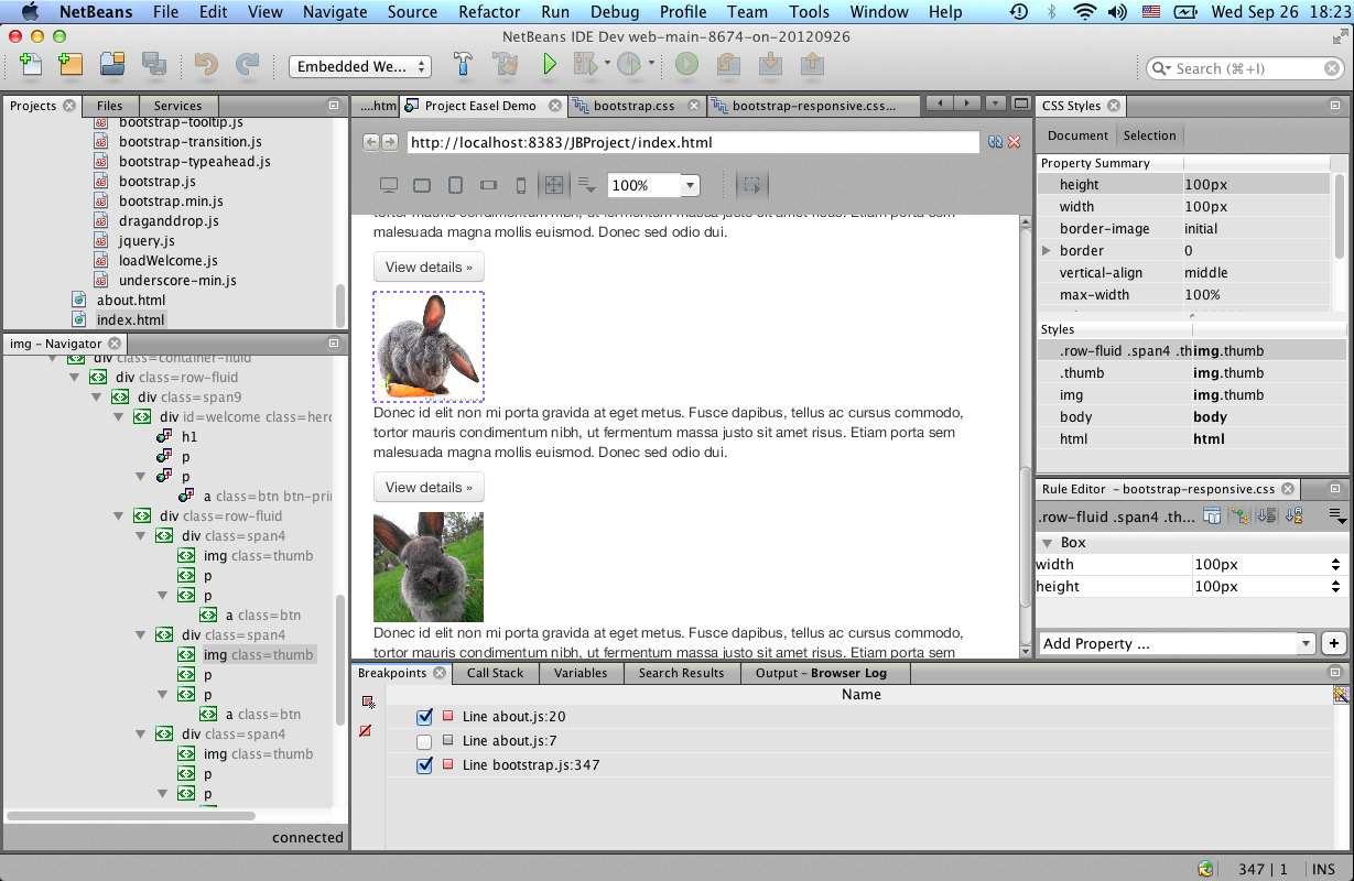 netbeans with jdk on mac
